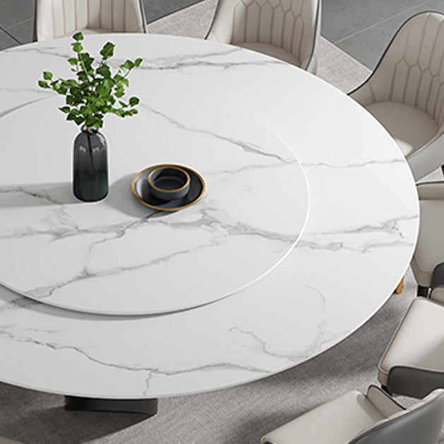Round Furniture Simple Style Stone Pedestal Base Dinner Table with Turntable Clearhalo ' dining_table' 'Dining Tables & Seating' 'Dining Tables' 'furn' 'furn_dining_table' 'Furniture' 'furniture_dining_table' 'Kitchen & Dining Furniture' 'kitchen&dining_furn' 'kitchen' 'kitchen_dining_table' 4197054