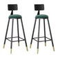 Contemporary Counter Stools Armless Upholstered Indoor Bar Stool Stainless Steel Base Green 2 Piece Set Clearhalo 'Bar Furniture' 'Bar Stools' 'bar_stools' 'furn' 'furn_bar_stools' 'furniture_bar_stools' 'Kitchen & Dining Furniture' 'kitchen&dining_furn' 'kitchen' 'kitchen_furn' Furniture' 4198330