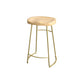 Contemporary Oval Counter Stools Armless Wood Indoor Bar Stool with Iron Base Gold Counter Stool(26"H) Clearhalo 'Bar Furniture' 'Bar Stools' 'bar_stools' 'furn' 'furn_bar_stools' 'furniture_bar_stools' 'Kitchen & Dining Furniture' 'kitchen&dining_furn' 'kitchen' 'kitchen_furn' Furniture' 4198399