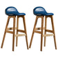 Scandinavian Natural Wood Counter Stools Low Back Bar Stools with Bucket Seat Royal Blue 2 Piece Set Clearhalo 'Bar Furniture' 'Bar Stools' 'bar_stools' 'furn' 'furn_bar_stools' 'furniture_bar_stools' 'Kitchen & Dining Furniture' 'kitchen&dining_furn' 'kitchen' 'kitchen_furn' Furniture' 4198922