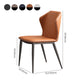 Contemporary Style Kitchen Metal Chair Wingback Dining Armless Side Chair (Set of 2) Clearhalo ' kitchen&dining_furn' 'Dining Chairs' 'Dining Tables & Seating' 'dining_chair' 'furn' 'furn_dining_chair' 'Furniture' 'furniture_dining_chair' 'Kitchen & Dining Furniture' 'kitchen' 4206412