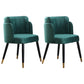 Scandinavian Style Ash Wood Chair Wingback Side Kitchen Dining Chairs Set Blackish Green 2 Piece Set Clearhalo ' kitchen&dining_furn' 'Dining Chairs' 'Dining Tables & Seating' 'dining_chair' 'furn' 'furn_dining_chair' 'Furniture' 'furniture_dining_chair' 'Kitchen & Dining Furniture' 'kitchen' 4207141