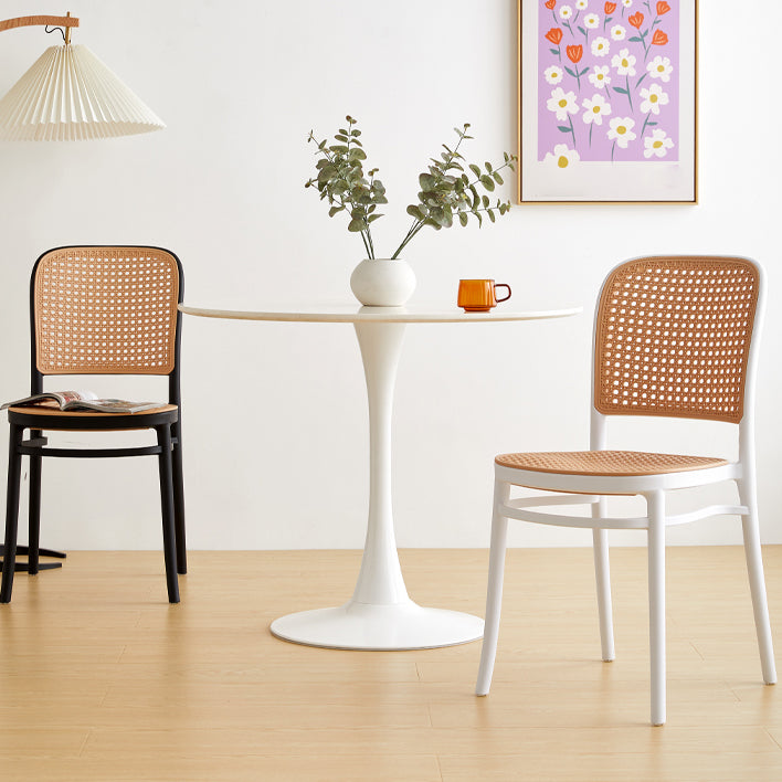 Indoor Contemporary Side Chair Open Back Plastic Dining Room Chair Clearhalo ' kitchen&dining_furn' 'Dining Chairs' 'Dining Tables & Seating' 'dining_chair' 'furn' 'furn_dining_chair' 'Furniture' 'furniture_dining_chair' 'Kitchen & Dining Furniture' 'kitchen' 4207330
