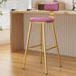 Industrial Style Metal Bar Stool Round Seat Counter Stool for Kitchen Bar Pink Gold Clearhalo 'Bar Furniture' 'Bar Stools' 'bar_stools' 'furn' 'furn_bar_stools' 'furniture_bar_stools' 'Kitchen & Dining Furniture' 'kitchen&dining_furn' 'kitchen' 'kitchen_furn' Furniture' 4211288
