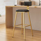 Industrial Style Metal Bar Stool Round Seat Counter Stool for Kitchen Bar Black Gold Clearhalo 'Bar Furniture' 'Bar Stools' 'bar_stools' 'furn' 'furn_bar_stools' 'furniture_bar_stools' 'Kitchen & Dining Furniture' 'kitchen&dining_furn' 'kitchen' 'kitchen_furn' Furniture' 4211298
