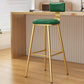 Industrial Style Metal Bar Stool Round Seat Counter Stool for Kitchen Bar Green Gold Clearhalo 'Bar Furniture' 'Bar Stools' 'bar_stools' 'furn' 'furn_bar_stools' 'furniture_bar_stools' 'Kitchen & Dining Furniture' 'kitchen&dining_furn' 'kitchen' 'kitchen_furn' Furniture' 4211299