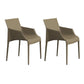 Modern Indoor-Outdoor Metal Chair Dining Room Solid Back Chair with Arm Light Brown 2 Piece Set Clearhalo ' kitchen&dining_furn' 'Dining Chairs' 'Dining Tables & Seating' 'dining_chair' 'furn' 'furn_dining_chair' 'Furniture' 'furniture_dining_chair' 'Kitchen & Dining Furniture' 'kitchen' 4237488