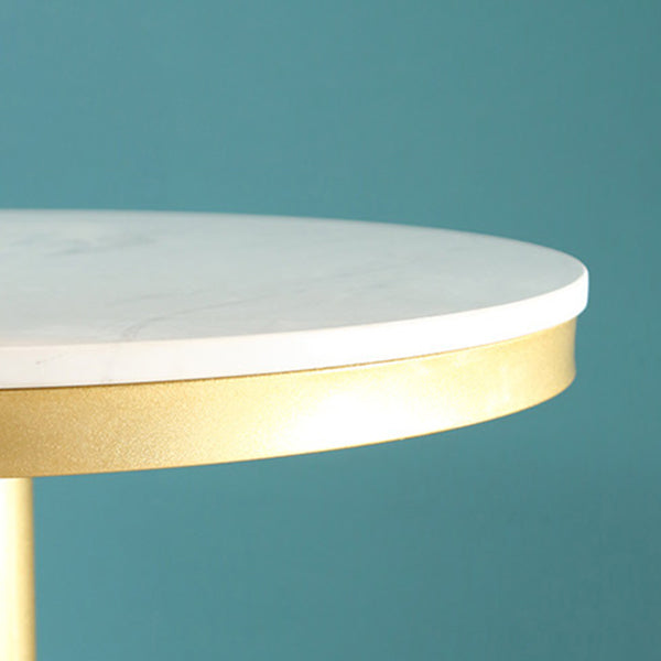 Glam Style Gold Iron Bar Table Marble Round Indoor Pedestal Bistro Table - 21.6"W x 41.3"H Clearhalo 'Bar Furniture' 'Bar Tables' 'bar_tables' 'furn' 'furn_bar_tables' 'Furniture' 'furniture_bar_tables' 'Kitchen & Dining Furniture' 'kitchen&dining_furn' 'kitchen' 4245496