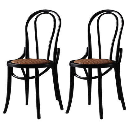 Traditional Style Dining Chair Rattan Wood Kitchen Windsor Back Dining Side Chair Black 2 Piece Set Clearhalo ' kitchen&dining_furn' 'Dining Chairs' 'Dining Tables & Seating' 'dining_chair' 'furn' 'furn_dining_chair' 'Furniture' 'furniture_dining_chair' 'Kitchen & Dining Furniture' 'kitchen' 4246068