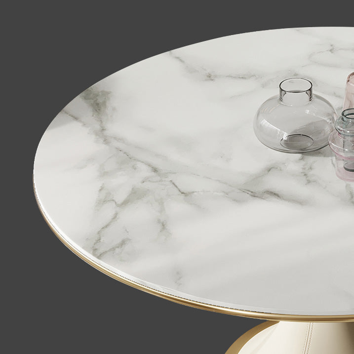 Traditional Round Luxury Dining Table White Sintered Stone Table with White Pedestal Base Clearhalo ' dining_table' 'Dining Tables & Seating' 'Dining Tables' 'furn' 'furn_dining_table' 'Furniture' 'furniture_dining_table' 'Kitchen & Dining Furniture' 'kitchen&dining_furn' 'kitchen' 'kitchen_dining_table' 4247057