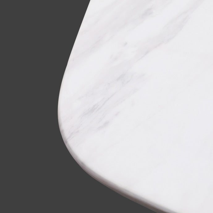 Rectangle Luxury Style Dining Table White Fixed Table with Sintered Stone Clearhalo ' dining_table' 'Dining Tables & Seating' 'Dining Tables' 'furn' 'furn_dining_table' 'Furniture' 'furniture_dining_table' 'Kitchen & Dining Furniture' 'kitchen&dining_furn' 'kitchen' 'kitchen_dining_table' 4247280