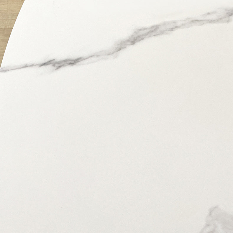 29.13''H Contemporary Round Dining Table Sintered Stone Table with 4 Black Metal Legs Clearhalo ' dining_table' 'Dining Tables & Seating' 'Dining Tables' 'furn' 'furn_dining_table' 'Furniture' 'furniture_dining_table' 'Kitchen & Dining Furniture' 'kitchen&dining_furn' 'kitchen' 'kitchen_dining_table' 4247397