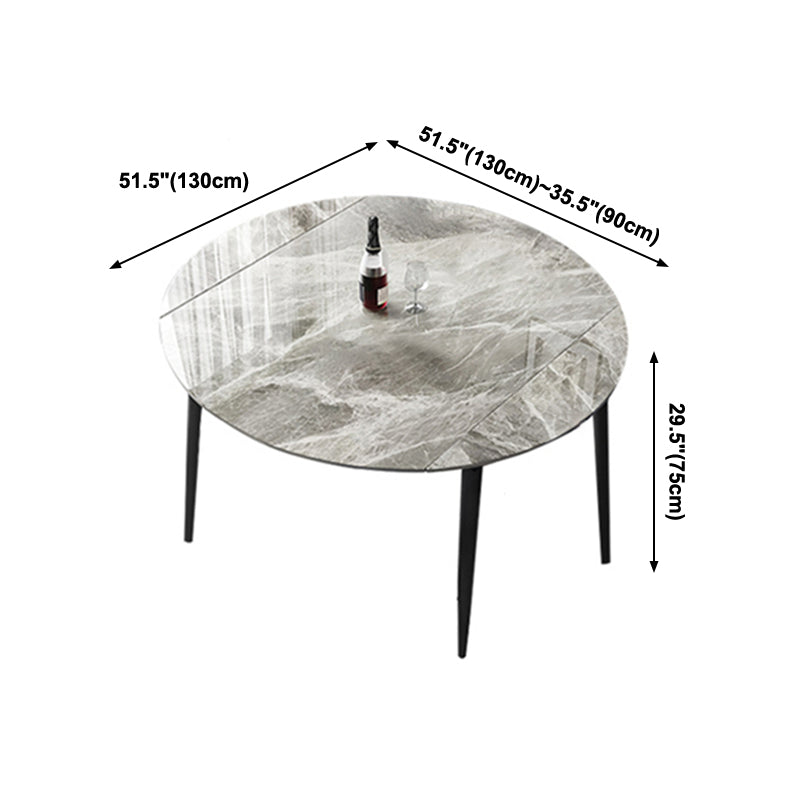 Modern Round Sintered Stone Table Standard Kitchen Dining Table in Gray Clearhalo ' dining_table' 'Dining Tables & Seating' 'Dining Tables' 'furn' 'furn_dining_table' 'Furniture' 'furniture_dining_table' 'Kitchen & Dining Furniture' 'kitchen&dining_furn' 'kitchen' 'kitchen_dining_table' 4247496