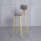 Velvet Glam Low Back Bar Stool Round Indoor Counter Stool with Gold Iron Legs Gray 1 Piece Clearhalo 'Bar Furniture' 'Bar Stools' 'bar_stools' 'furn' 'furn_bar_stools' 'furniture_bar_stools' 'Kitchen & Dining Furniture' 'kitchen&dining_furn' 'kitchen' 'kitchen_furn' Furniture' 4250835