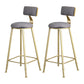 Velvet Glam Low Back Bar Stool Round Indoor Counter Stool with Gold Iron Legs Gray 2 Piece Set Clearhalo 'Bar Furniture' 'Bar Stools' 'bar_stools' 'furn' 'furn_bar_stools' 'furniture_bar_stools' 'Kitchen & Dining Furniture' 'kitchen&dining_furn' 'kitchen' 'kitchen_furn' Furniture' 4250838
