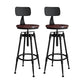 Industrial Armless Liftable Counter Stool Iron Restaurant Bar Stool with Pedal With Back 2 Piece Set Non-Upholstered Clearhalo 'Bar Furniture' 'Bar Stools' 'bar_stools' 'furn' 'furn_bar_stools' 'furniture_bar_stools' 'Kitchen & Dining Furniture' 'kitchen&dining_furn' 'kitchen' 'kitchen_furn' Furniture' 4251107