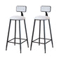 Modern Armless Backrest Counter Stool Iron Household Bar Stool with Velvet Cushion White 2 Piece Set Bar Stool(30"H) Clearhalo 'Bar Furniture' 'Bar Stools' 'bar_stools' 'furn' 'furn_bar_stools' 'furniture_bar_stools' 'Kitchen & Dining Furniture' 'kitchen&dining_furn' 'kitchen' 'kitchen_furn' Furniture' 4251136