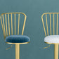 Glam Liftable Backrest Counter Stool Iron Household Bar Stool with Cushion Clearhalo 'Bar Furniture' 'Bar Stools' 'bar_stools' 'furn' 'furn_bar_stools' 'furniture_bar_stools' 'Kitchen & Dining Furniture' 'kitchen&dining_furn' 'kitchen' 'kitchen_furn' Furniture' 4258702