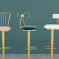 Glam Liftable Backrest Counter Stool Iron Household Bar Stool with Cushion Clearhalo 'Bar Furniture' 'Bar Stools' 'bar_stools' 'furn' 'furn_bar_stools' 'furniture_bar_stools' 'Kitchen & Dining Furniture' 'kitchen&dining_furn' 'kitchen' 'kitchen_furn' Furniture' 4258710