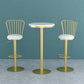 Glam Liftable Backrest Counter Stool Iron Household Bar Stool with Cushion Clearhalo 'Bar Furniture' 'Bar Stools' 'bar_stools' 'furn' 'furn_bar_stools' 'furniture_bar_stools' 'Kitchen & Dining Furniture' 'kitchen&dining_furn' 'kitchen' 'kitchen_furn' Furniture' 4258716
