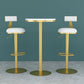 Glam Liftable Backrest Counter Stool Iron Household Bar Stool with Cushion Clearhalo 'Bar Furniture' 'Bar Stools' 'bar_stools' 'furn' 'furn_bar_stools' 'furniture_bar_stools' 'Kitchen & Dining Furniture' 'kitchen&dining_furn' 'kitchen' 'kitchen_furn' Furniture' 4258719