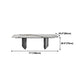 Sintered Stone Top Dining Table for restaurant Rectangle Table with Double Pedestal Clearhalo ' dining_table' 'Dining Tables & Seating' 'Dining Tables' 'furn' 'furn_dining_table' 'Furniture' 'furniture_dining_table' 'Kitchen & Dining Furniture' 'kitchen&dining_furn' 'kitchen' 'kitchen_dining_table' 4260191