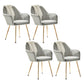 Scandinavian Bedroom Solid Back Arm Chair Velvet Matte Finish Dining Chair Gray Blue 4 Piece Set Brass Gold Clearhalo ' kitchen&dining_furn' 'Dining Chairs' 'Dining Tables & Seating' 'dining_chair' 'furn' 'furn_dining_chair' 'Furniture' 'furniture_dining_chair' 'Kitchen & Dining Furniture' 'kitchen' 4260963