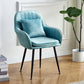 Scandinavian Powder Room Solid Back Side Chair Velvet Matte Finish Dining Chair Lake Blue 1 Piece Black Clearhalo ' kitchen&dining_furn' 'Dining Chairs' 'Dining Tables & Seating' 'dining_chair' 'furn' 'furn_dining_chair' 'Furniture' 'furniture_dining_chair' 'Kitchen & Dining Furniture' 'kitchen' 4261087