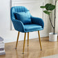 Scandinavian Powder Room Solid Back Side Chair Velvet Matte Finish Dining Chair Dark Blue 1 Piece Brass Gold Clearhalo ' kitchen&dining_furn' 'Dining Chairs' 'Dining Tables & Seating' 'dining_chair' 'furn' 'furn_dining_chair' 'Furniture' 'furniture_dining_chair' 'Kitchen & Dining Furniture' 'kitchen' 4261099