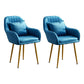 Scandinavian Powder Room Solid Back Side Chair Velvet Matte Finish Dining Chair Dark Blue 2 Piece Set Brass Gold Clearhalo ' kitchen&dining_furn' 'Dining Chairs' 'Dining Tables & Seating' 'dining_chair' 'furn' 'furn_dining_chair' 'Furniture' 'furniture_dining_chair' 'Kitchen & Dining Furniture' 'kitchen' 4261100