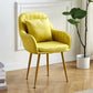 Scandinavian Powder Room Solid Back Side Chair Velvet Matte Finish Dining Chair Yellow 1 Piece Brass Gold Clearhalo ' kitchen&dining_furn' 'Dining Chairs' 'Dining Tables & Seating' 'dining_chair' 'furn' 'furn_dining_chair' 'Furniture' 'furniture_dining_chair' 'Kitchen & Dining Furniture' 'kitchen' 4261105