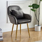 Scandinavian Powder Room Solid Back Side Chair Velvet Matte Finish Dining Chair Dark Gray 1 Piece Brass Gold Clearhalo ' kitchen&dining_furn' 'Dining Chairs' 'Dining Tables & Seating' 'dining_chair' 'furn' 'furn_dining_chair' 'Furniture' 'furniture_dining_chair' 'Kitchen & Dining Furniture' 'kitchen' 4261108