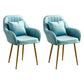 Scandinavian Powder Room Solid Back Side Chair Velvet Matte Finish Dining Chair Lake Blue 2 Piece Set Brass Gold Clearhalo ' kitchen&dining_furn' 'Dining Chairs' 'Dining Tables & Seating' 'dining_chair' 'furn' 'furn_dining_chair' 'Furniture' 'furniture_dining_chair' 'Kitchen & Dining Furniture' 'kitchen' 4261126