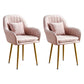 Scandinavian Powder Room Solid Back Side Chair Velvet Matte Finish Dining Chair Pink 2 Piece Set Brass Gold Clearhalo ' kitchen&dining_furn' 'Dining Chairs' 'Dining Tables & Seating' 'dining_chair' 'furn' 'furn_dining_chair' 'Furniture' 'furniture_dining_chair' 'Kitchen & Dining Furniture' 'kitchen' 4261128