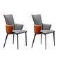 Modern Style Dining Chairs Arm Side Chairs with Metal Legs for Kitchen Orange-Gray 2 Piece Set Clearhalo ' kitchen&dining_furn' 'Dining Chairs' 'Dining Tables & Seating' 'dining_chair' 'furn' 'furn_dining_chair' 'Furniture' 'furniture_dining_chair' 'Kitchen & Dining Furniture' 'kitchen' 4271910