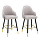 Modern Armless Backrest Counter Stool Steel Household Bar Stool with Pedal and Cushion Light Gray 2 Piece Set Short Stool(22"H) Clearhalo 'Bar Furniture' 'Bar Stools' 'bar_stools' 'furn' 'furn_bar_stools' 'furniture_bar_stools' 'Kitchen & Dining Furniture' 'kitchen&dining_furn' 'kitchen' 'kitchen_furn' Furniture' 4275369
