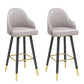 Modern Armless Backrest Counter Stool Steel Household Bar Stool with Pedal and Cushion Light Gray 2 Piece Set Bar Stool(30"H) Clearhalo 'Bar Furniture' 'Bar Stools' 'bar_stools' 'furn' 'furn_bar_stools' 'furniture_bar_stools' 'Kitchen & Dining Furniture' 'kitchen&dining_furn' 'kitchen' 'kitchen_furn' Furniture' 4275371