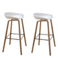 Modern Plastic Counter Stool Footrest Low Back Bucket Coffee Shop Bar Stool with Wood Legs White 2 Piece Set Clearhalo 'Bar Furniture' 'Bar Stools' 'bar_stools' 'furn' 'furn_bar_stools' 'furniture_bar_stools' 'Kitchen & Dining Furniture' 'kitchen&dining_furn' 'kitchen' 'kitchen_furn' Furniture' 4275807