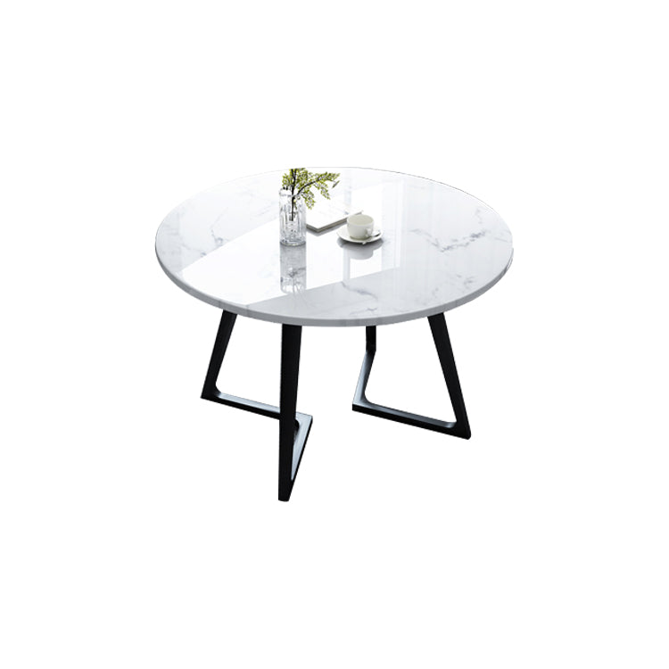Industrial Style Dining Site Table Stone Furniture with Double Pedestal Round Without Chairs Clearhalo ' dining_table' 'Dining Tables & Seating' 'Dining Tables' 'furn' 'furn_dining_table' 'Furniture' 'furniture_dining_table' 'Kitchen & Dining Furniture' 'kitchen&dining_furn' 'kitchen' 'kitchen_dining_table' 4287606