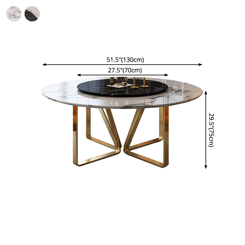 Round Furniture Luxury Style Marble Double Pedestal Dinner Table with Turntable Clearhalo ' dining_table' 'Dining Tables & Seating' 'Dining Tables' 'furn' 'furn_dining_table' 'Furniture' 'furniture_dining_table' 'Kitchen & Dining Furniture' 'kitchen&dining_furn' 'kitchen' 'kitchen_dining_table' 4287777