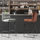 Modern Backrest Armless Counter Stool Steel Cafe Bar Stool with Leather Cushion Clearhalo 'Bar Furniture' 'Bar Stools' 'bar_stools' 'furn' 'furn_bar_stools' 'furniture_bar_stools' 'Kitchen & Dining Furniture' 'kitchen&dining_furn' 'kitchen' 'kitchen_furn' Furniture' 4290413