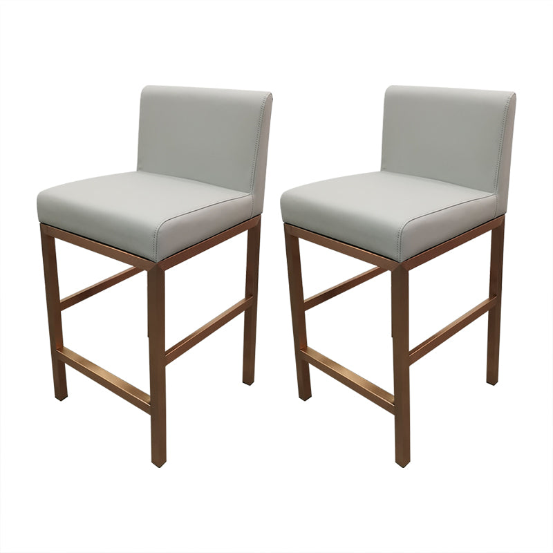 Glam Armless Backrest Counter Stool Stainless Steel Jewelry Store Bar Stool with Cushion Light Gray Rose Gold 2 Piece Set Clearhalo 'Bar Furniture' 'Bar Stools' 'bar_stools' 'furn' 'furn_bar_stools' 'furniture_bar_stools' 'Kitchen & Dining Furniture' 'kitchen&dining_furn' 'kitchen' 'kitchen_furn' Furniture' 4296767