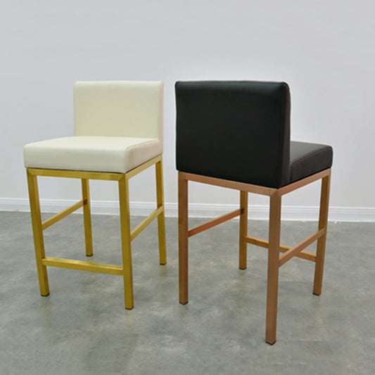 Glam Armless Backrest Counter Stool Stainless Steel Jewelry Store Bar Stool with Cushion Clearhalo 'Bar Furniture' 'Bar Stools' 'bar_stools' 'furn' 'furn_bar_stools' 'furniture_bar_stools' 'Kitchen & Dining Furniture' 'kitchen&dining_furn' 'kitchen' 'kitchen_furn' Furniture' 4296769