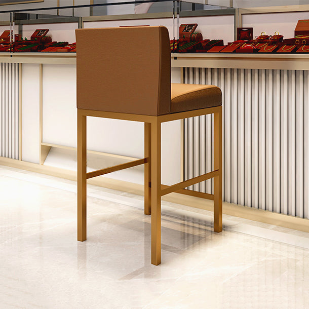 Glam Armless Backrest Counter Stool Stainless Steel Jewelry Store Bar Stool with Cushion Clearhalo 'Bar Furniture' 'Bar Stools' 'bar_stools' 'furn' 'furn_bar_stools' 'furniture_bar_stools' 'Kitchen & Dining Furniture' 'kitchen&dining_furn' 'kitchen' 'kitchen_furn' Furniture' 4296771
