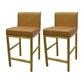 Glam Armless Backrest Counter Stool Stainless Steel Jewelry Store Bar Stool with Cushion Golden Gold 2 Piece Set Clearhalo 'Bar Furniture' 'Bar Stools' 'bar_stools' 'furn' 'furn_bar_stools' 'furniture_bar_stools' 'Kitchen & Dining Furniture' 'kitchen&dining_furn' 'kitchen' 'kitchen_furn' Furniture' 4296800