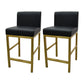 Glam Armless Backrest Counter Stool Stainless Steel Jewelry Store Bar Stool with Cushion Black Gold 2 Piece Set Clearhalo 'Bar Furniture' 'Bar Stools' 'bar_stools' 'furn' 'furn_bar_stools' 'furniture_bar_stools' 'Kitchen & Dining Furniture' 'kitchen&dining_furn' 'kitchen' 'kitchen_furn' Furniture' 4296809