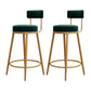 Glam Round Footrest Bar Stool Velvet Low Back Indoor Counter Chair with Gold Legs Green 2 Piece Set Clearhalo 'Bar Furniture' 'Bar Stools' 'bar_stools' 'furn' 'furn_bar_stools' 'furniture_bar_stools' 'Kitchen & Dining Furniture' 'kitchen&dining_furn' 'kitchen' 'kitchen_furn' Furniture' 4296979