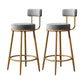 Glam Armless Backrest Counter Stool Iron Household Bar Stool with Velvet Cushion Gray 2 Piece Set Clearhalo 'Bar Furniture' 'Bar Stools' 'bar_stools' 'furn' 'furn_bar_stools' 'furniture_bar_stools' 'Kitchen & Dining Furniture' 'kitchen&dining_furn' 'kitchen' 'kitchen_furn' Furniture' 4297031