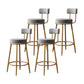 Glam Armless Backrest Counter Stool Iron Household Bar Stool with Velvet Cushion Gray 4 Piece Set Clearhalo 'Bar Furniture' 'Bar Stools' 'bar_stools' 'furn' 'furn_bar_stools' 'furniture_bar_stools' 'Kitchen & Dining Furniture' 'kitchen&dining_furn' 'kitchen' 'kitchen_furn' Furniture' 4297034