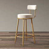 Glam Armless Backrest Counter Stool Iron Household Bar Stool with Velvet Cushion Clearhalo 'Bar Furniture' 'Bar Stools' 'bar_stools' 'furn' 'furn_bar_stools' 'furniture_bar_stools' 'Kitchen & Dining Furniture' 'kitchen&dining_furn' 'kitchen' 'kitchen_furn' Furniture' 4297035